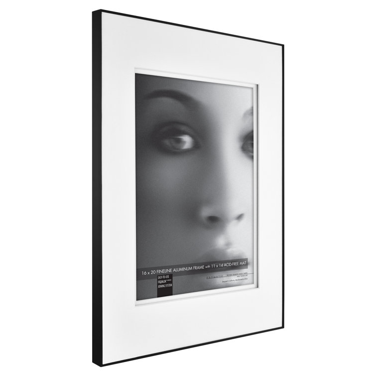 Framatic Metal Picture Frame & Reviews Wayfair
